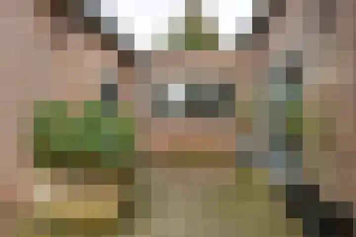 Rijksweg 84 Nieuwendijk thumbnail 39