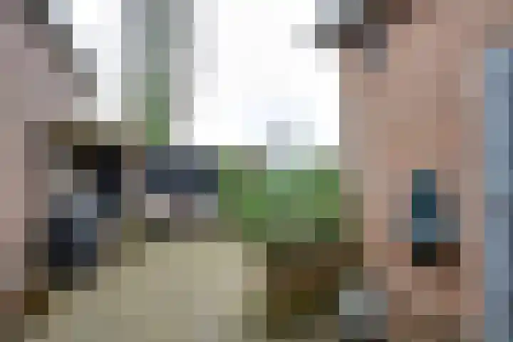 Rijksweg 84 Nieuwendijk thumbnail 40
