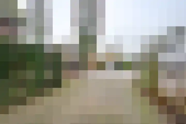 Rijksweg 84 Nieuwendijk thumbnail 41