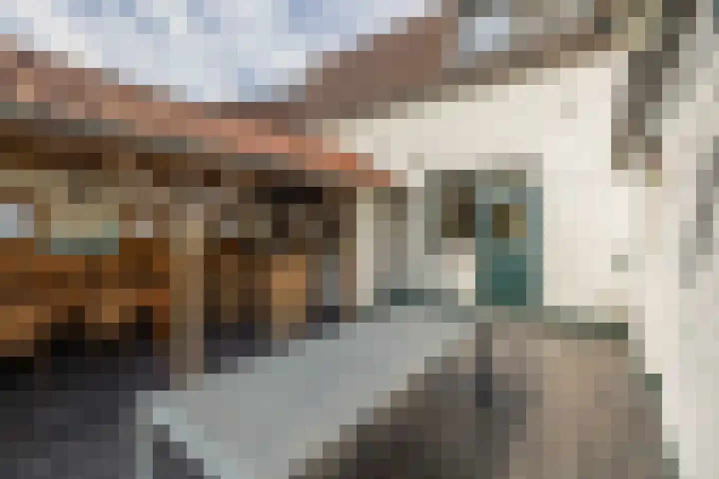 Rijksweg 85 Velden thumbnail 29
