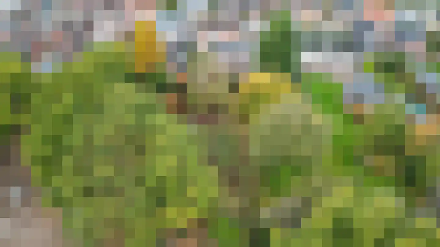 Rijksweg 85 Velden foto 3