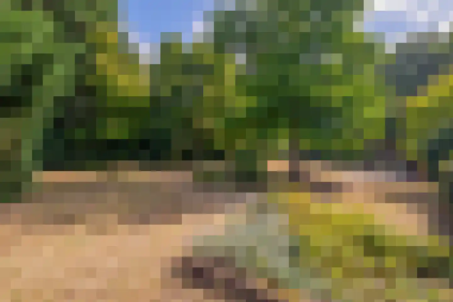 Rijksweg 85 Velden thumbnail 37