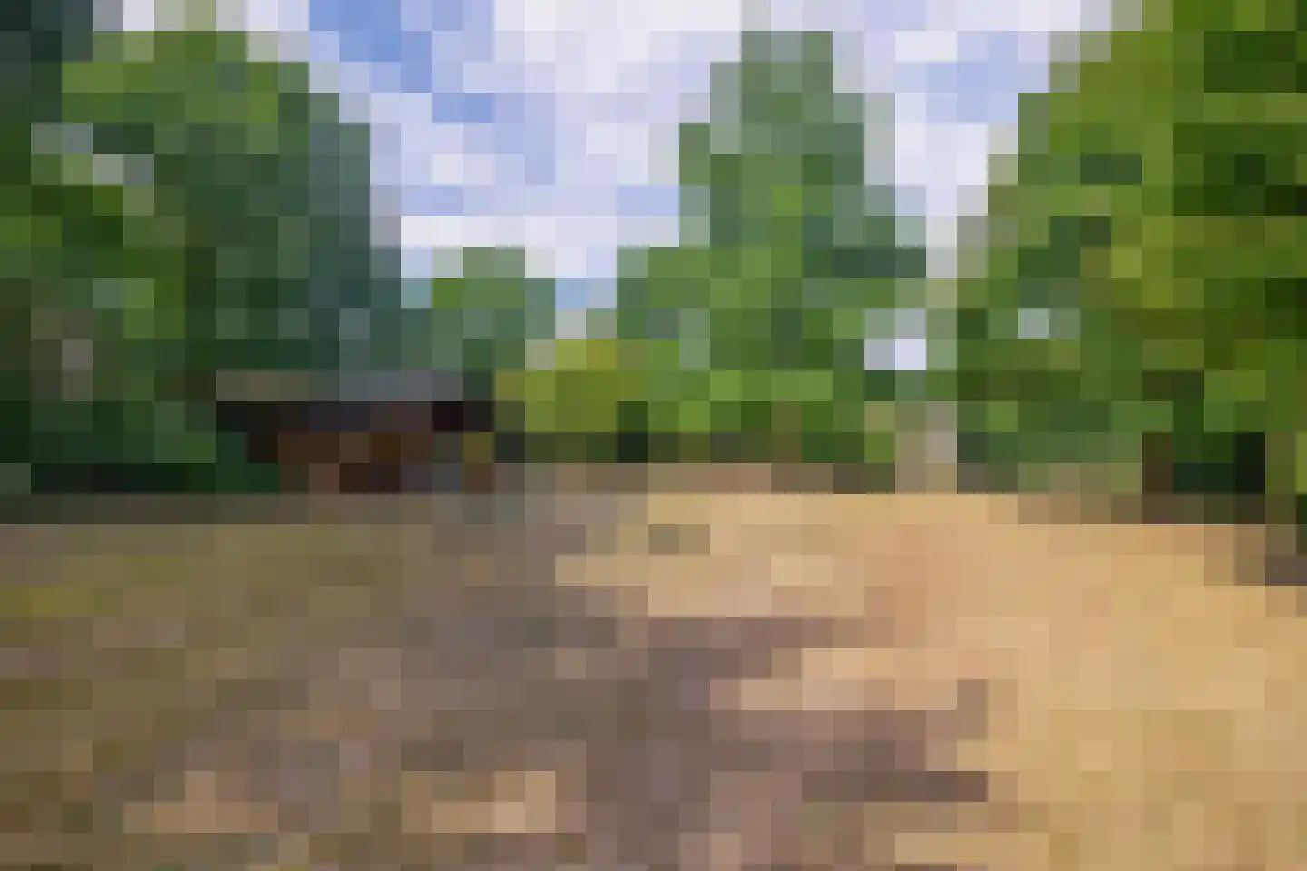 Rijksweg 85 Velden thumbnail 39
