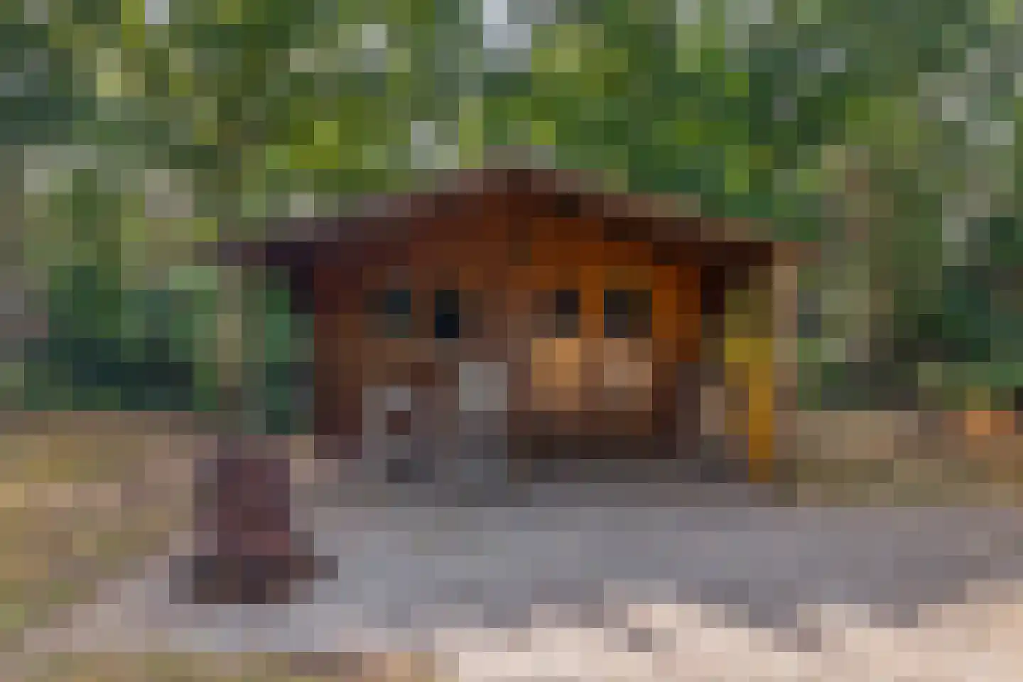 Rijksweg 85 Velden thumbnail 40