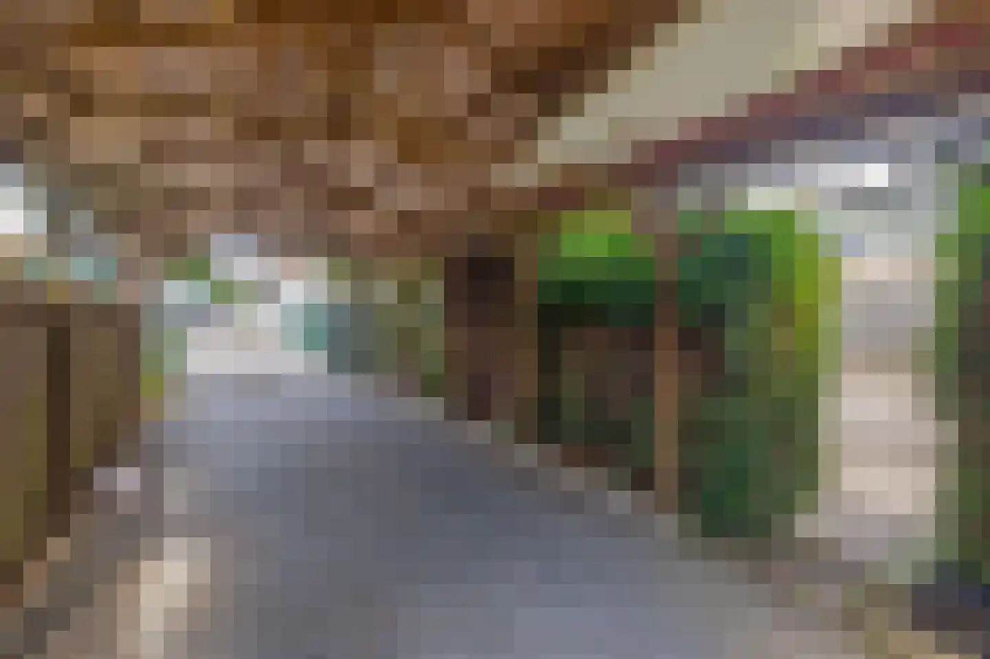 Rijksweg 85 Velden thumbnail 42
