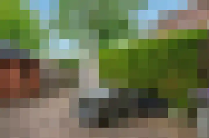 Rijksweg 87 Delfzijl thumbnail 18