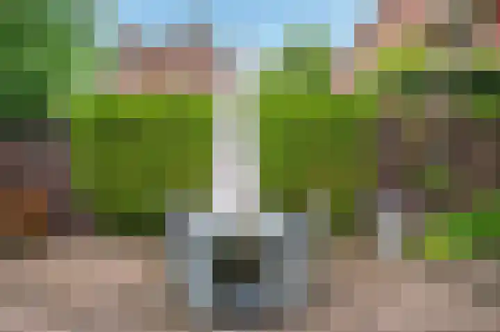 Rijksweg 87 Delfzijl thumbnail 20