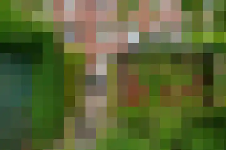Rijksweg 87 Delfzijl thumbnail 22