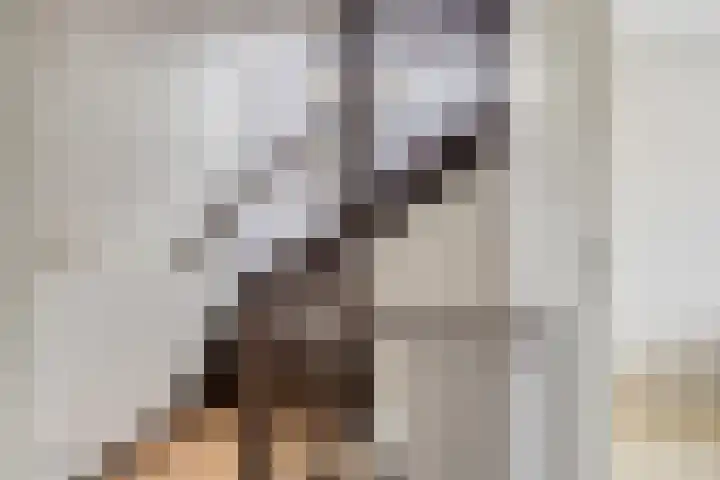 Rijksweg 88 A Malden thumbnail 19