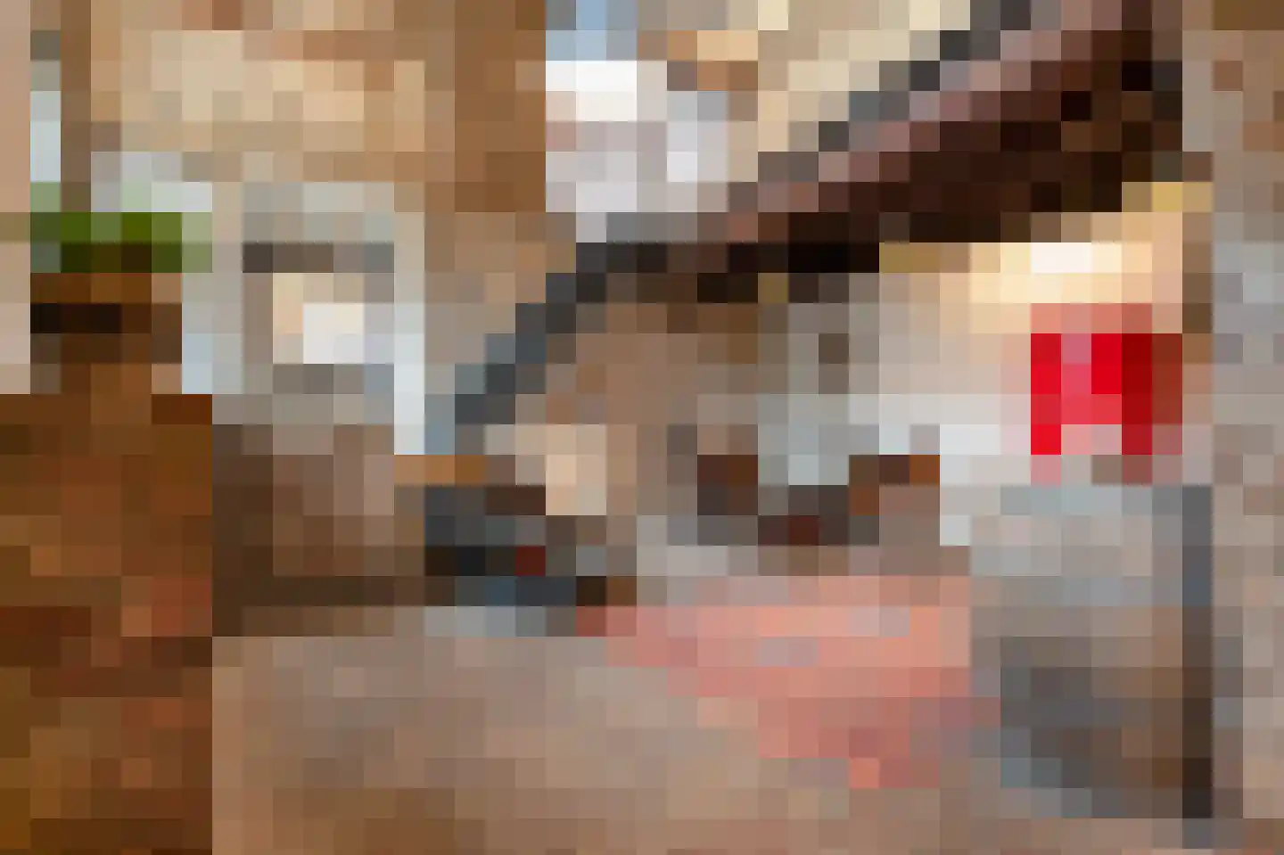 Rijksweg 89 A Gronsveld thumbnail 11