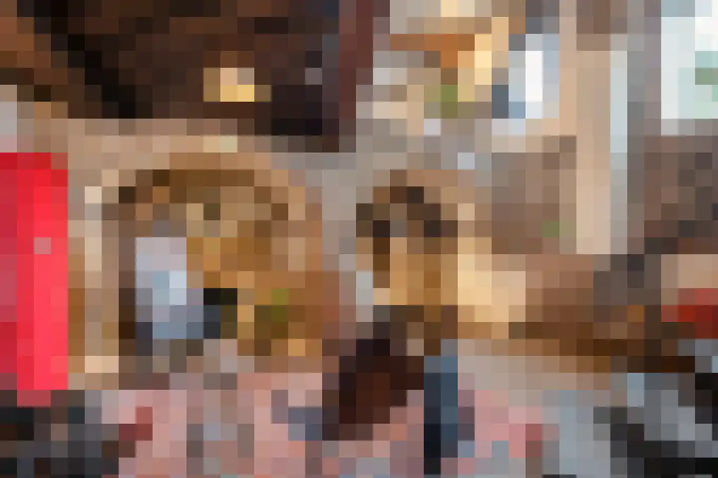 Rijksweg 89 A Gronsveld thumbnail 14