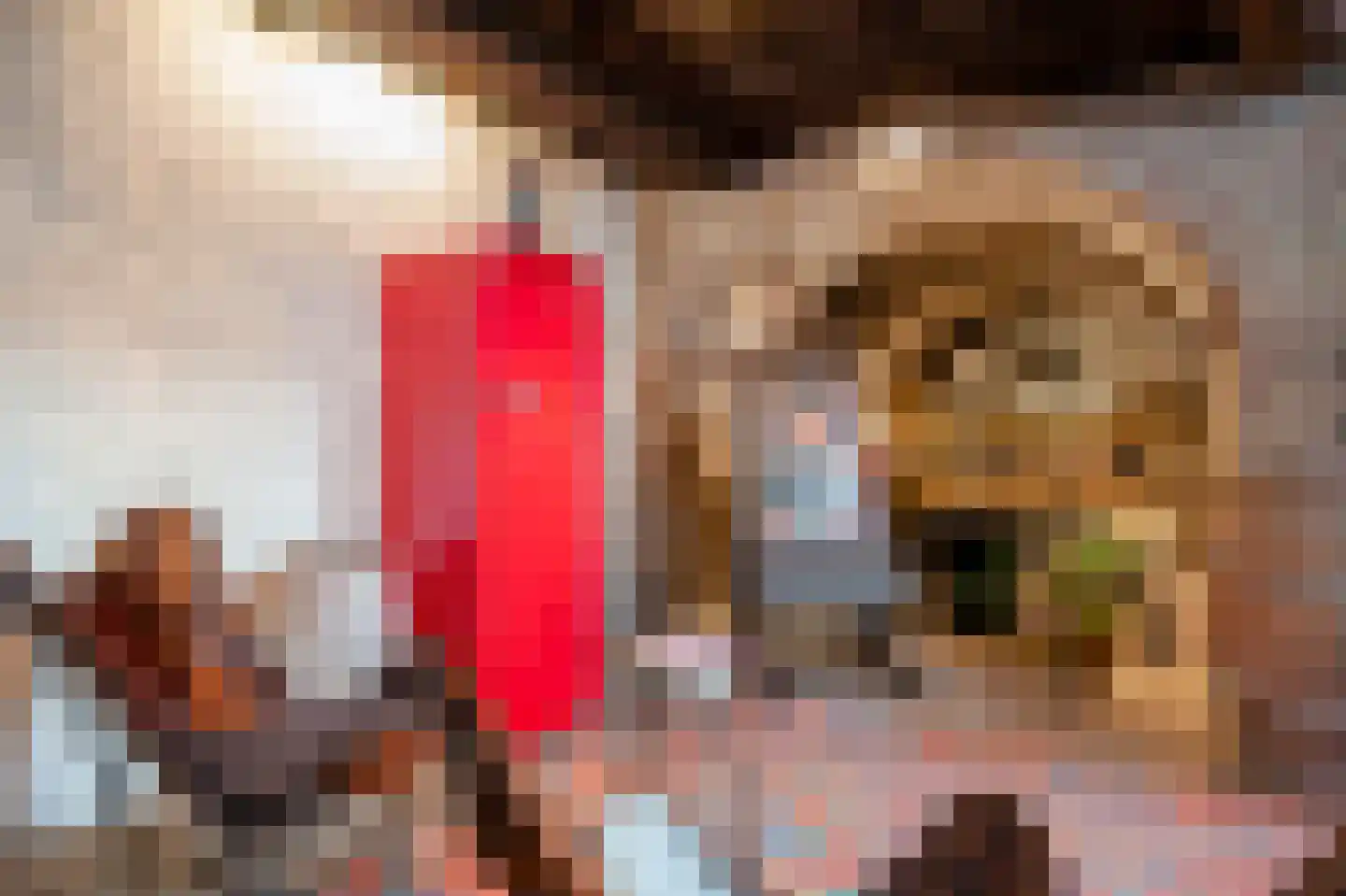 Rijksweg 89 A Gronsveld thumbnail 15