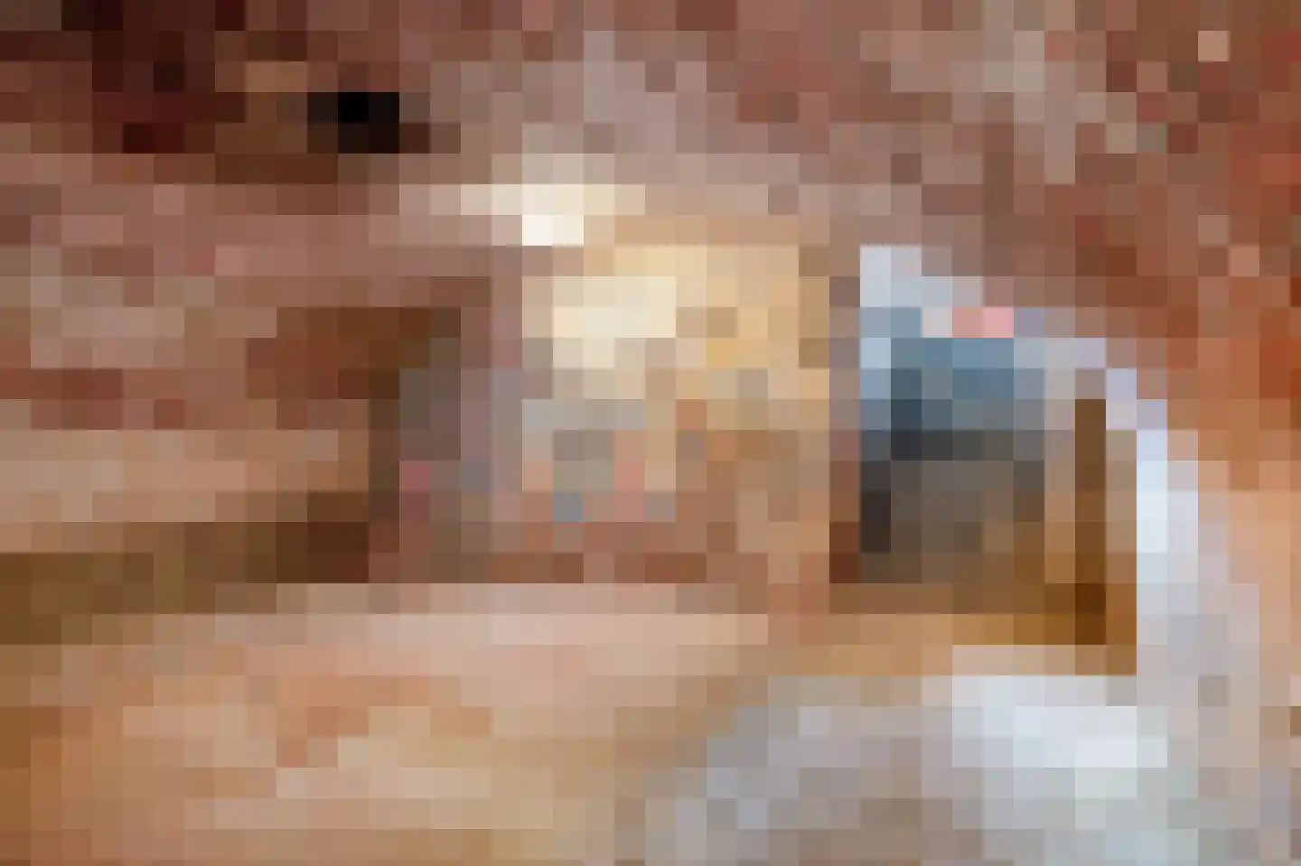 Rijksweg 89 A Gronsveld thumbnail 18