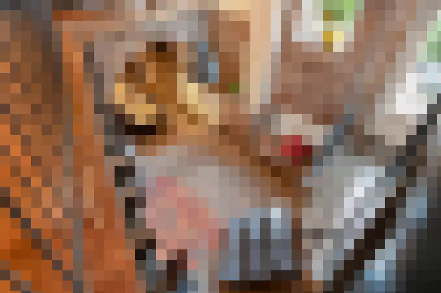 Rijksweg 89 A Gronsveld thumbnail 21