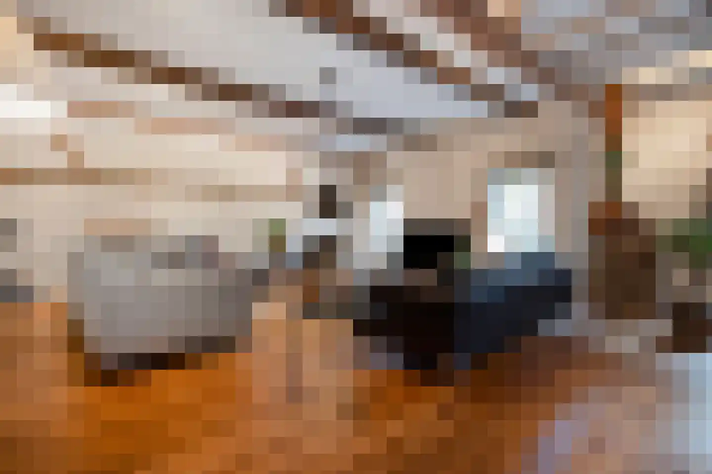 Rijksweg 89 A Gronsveld thumbnail 22