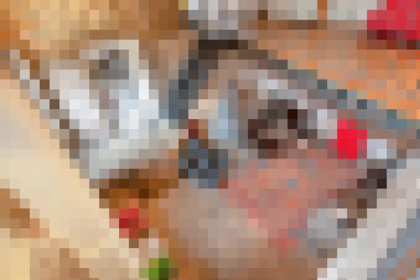 Rijksweg 89 A Gronsveld thumbnail 26