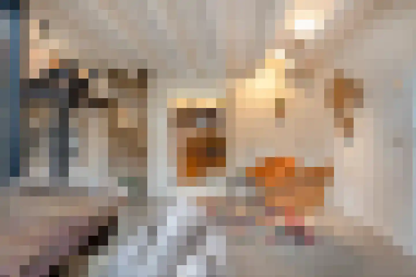 Rijksweg 89 A Gronsveld thumbnail 34