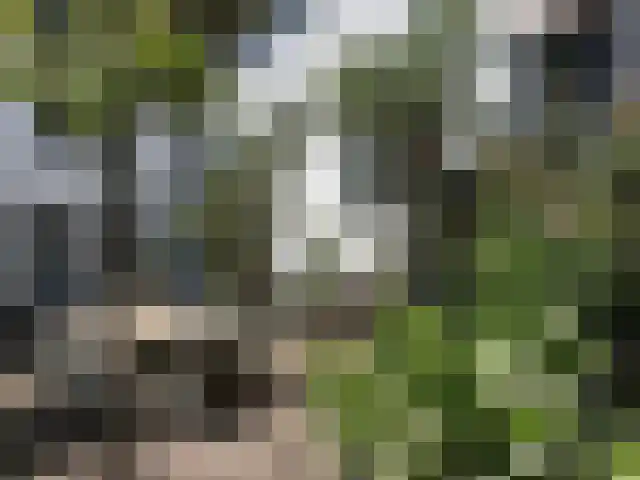 Rijksweg 89 A Gronsveld thumbnail 4