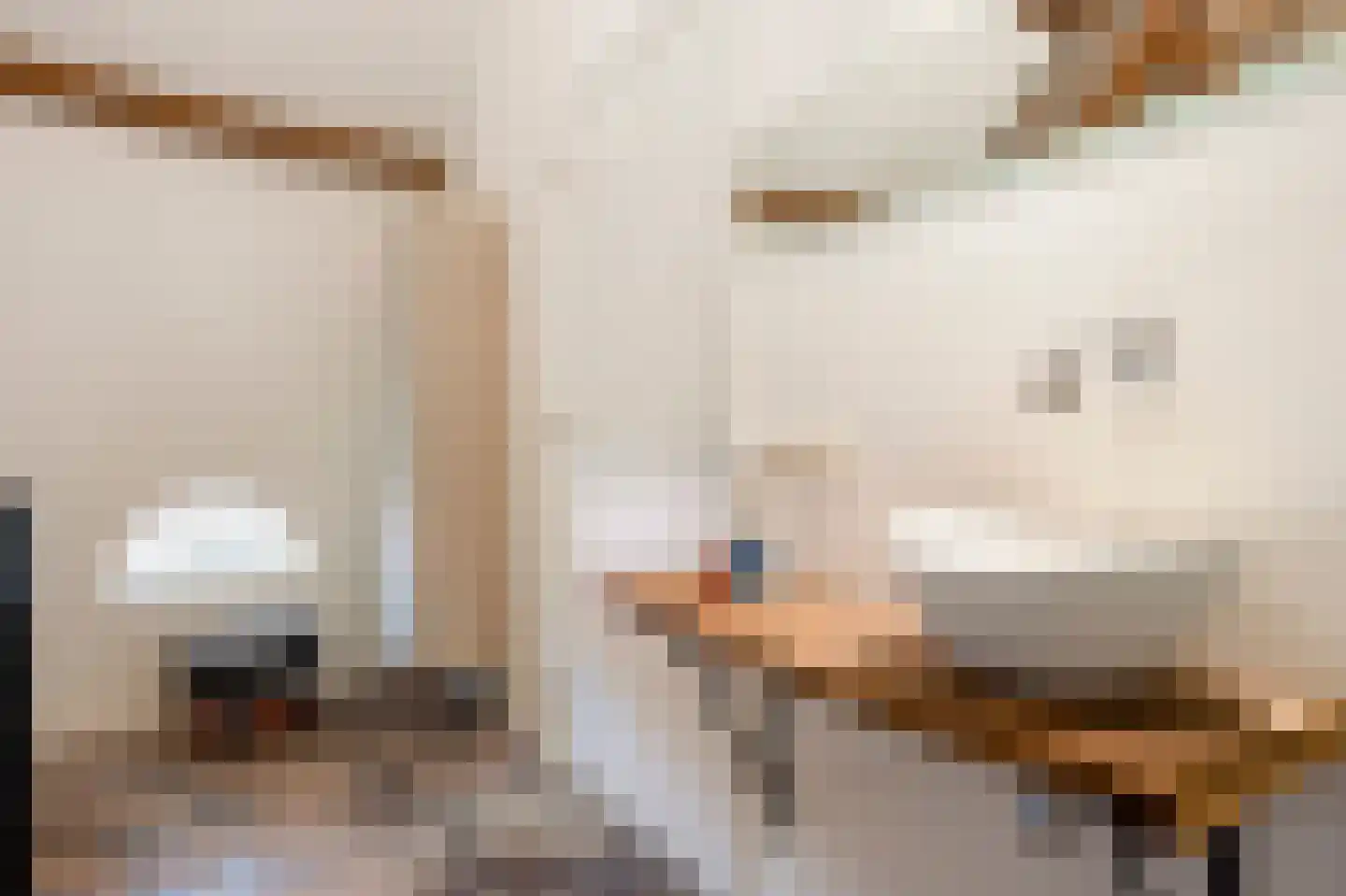 Rijksweg 89 A Gronsveld thumbnail 40