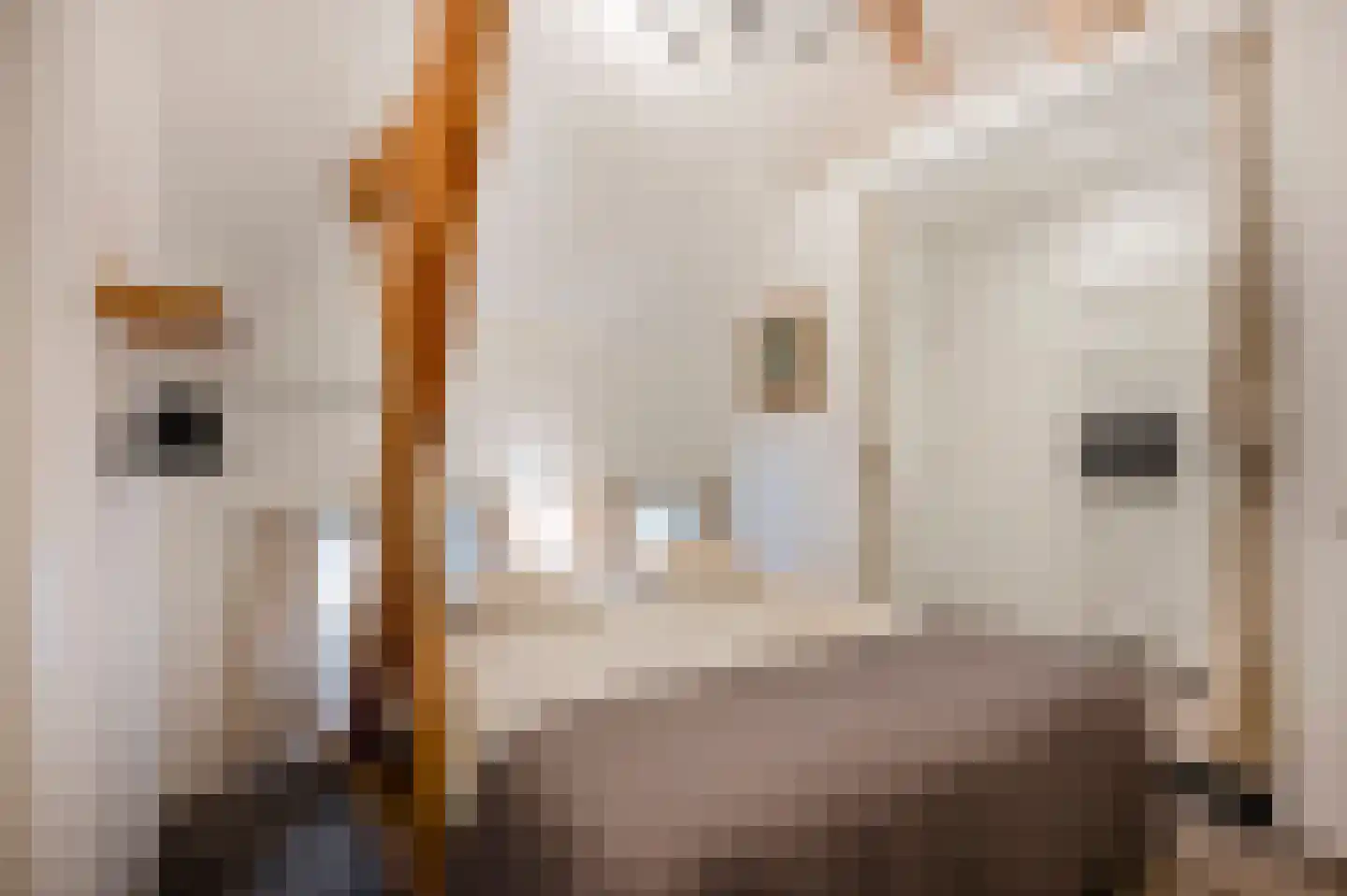 Rijksweg 89 A Gronsveld thumbnail 41