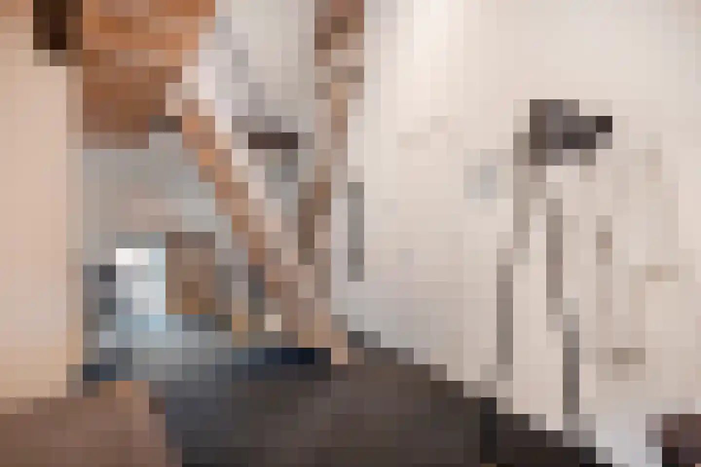 Rijksweg 89 A Gronsveld thumbnail 47