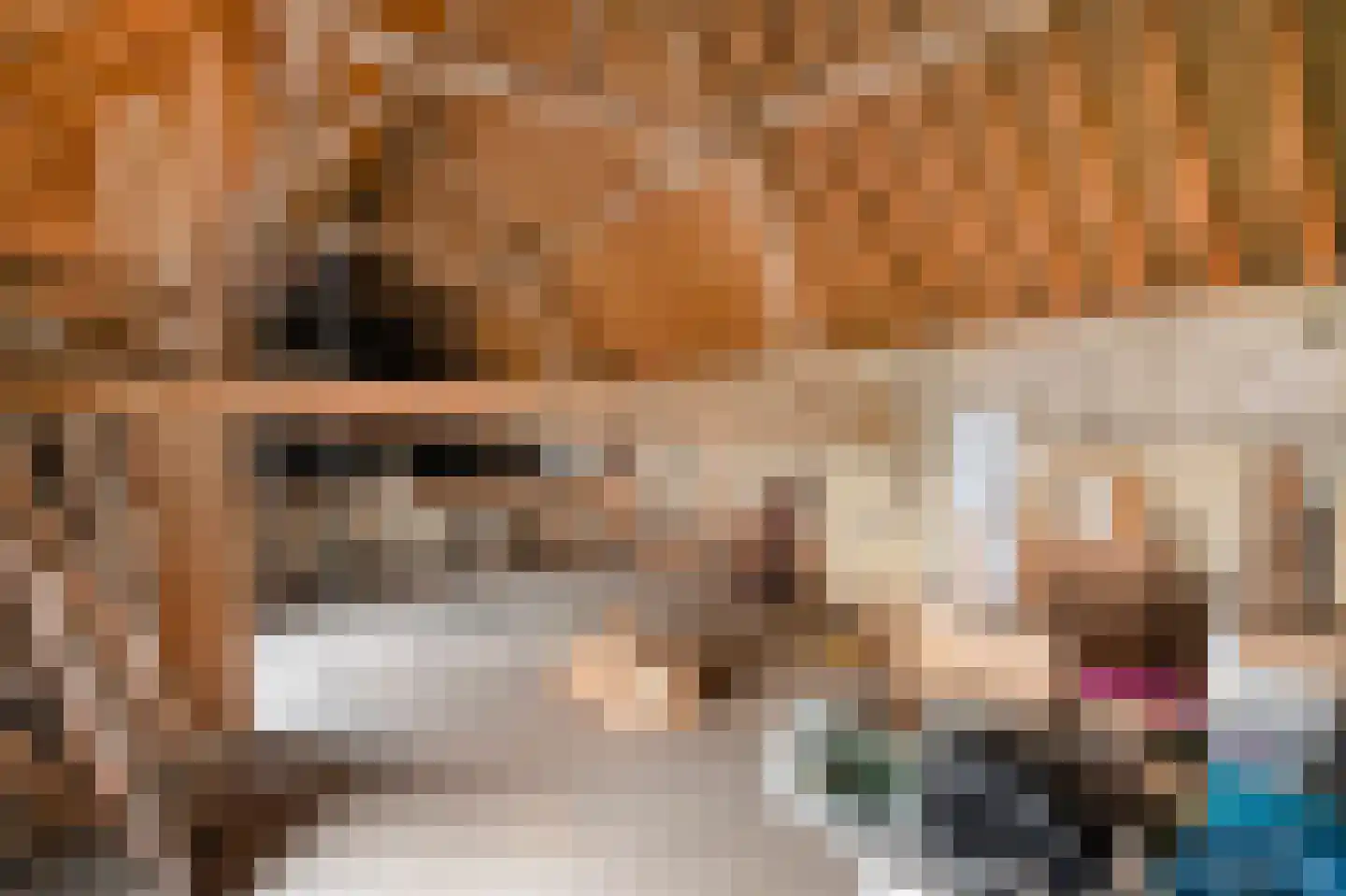 Rijksweg 89 A Gronsveld thumbnail 55