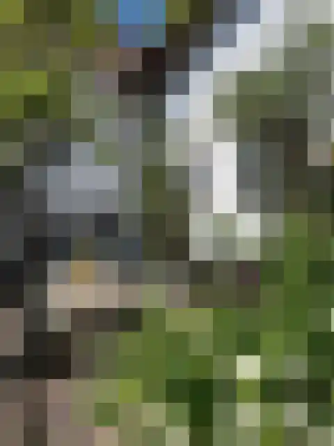 Rijksweg 89 A Gronsveld thumbnail 6