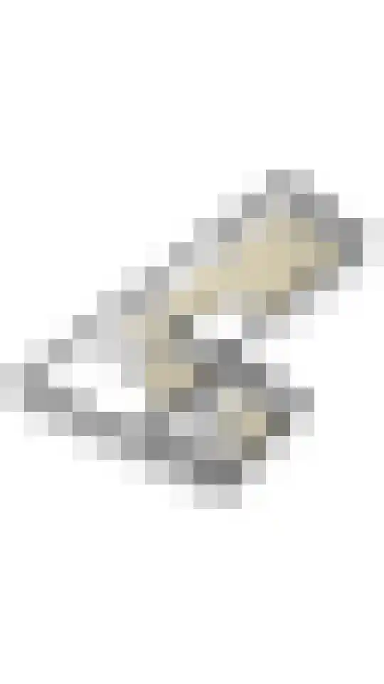 Rijksweg 89 A Gronsveld thumbnail 64