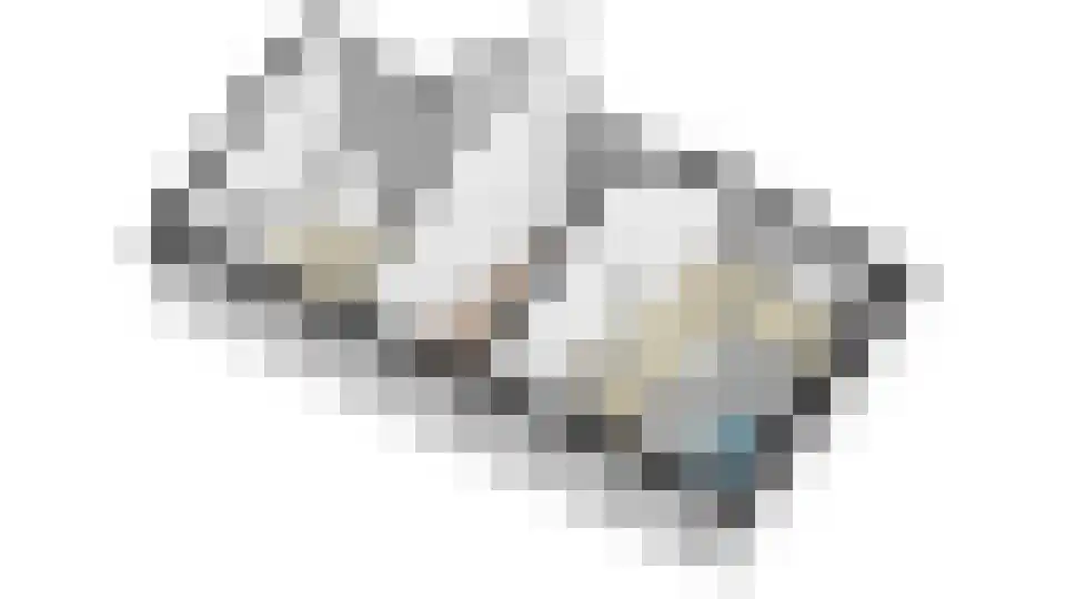 Rijksweg 89 A Gronsveld thumbnail 65