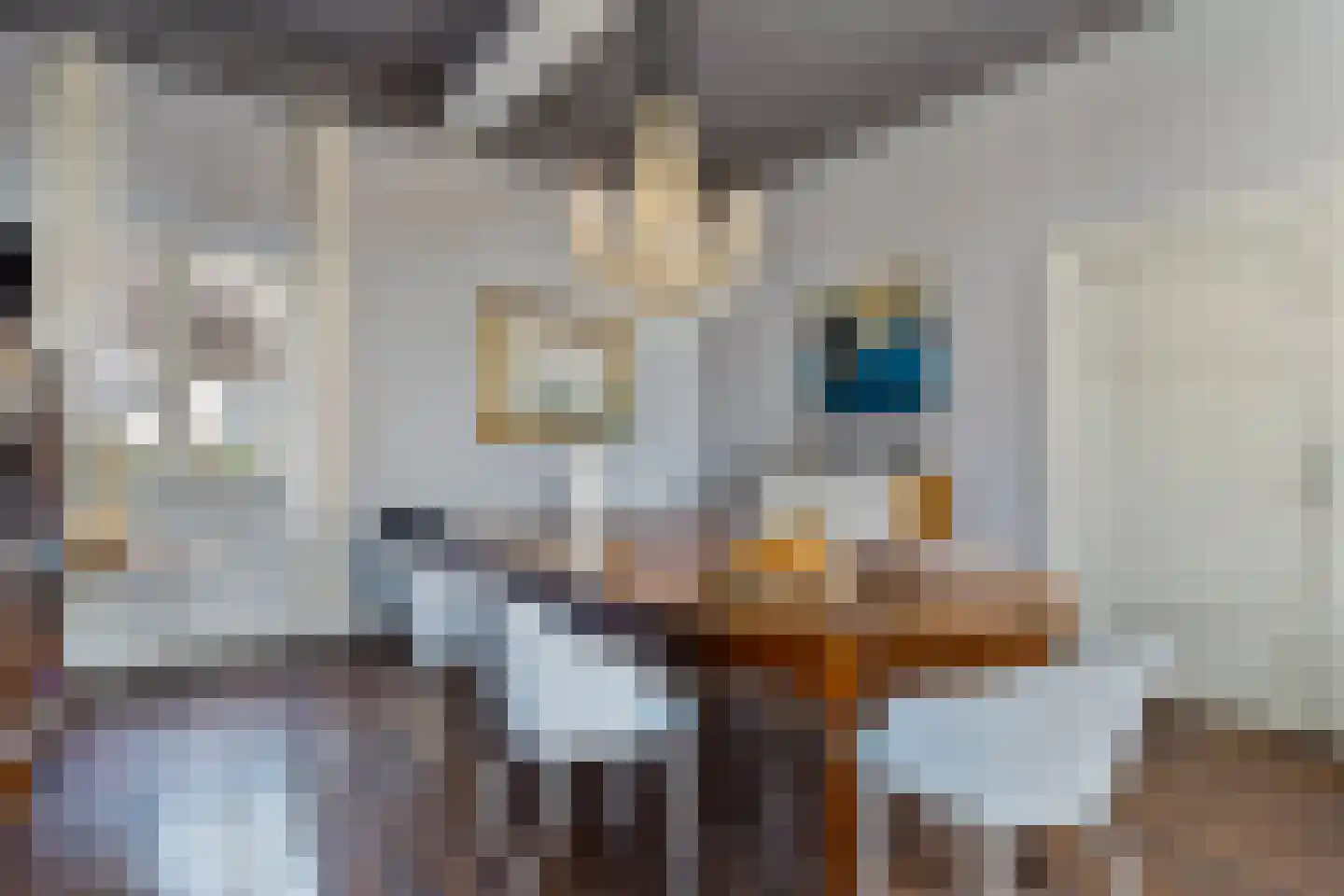 Rijksweg 89 B Gronsveld thumbnail 11