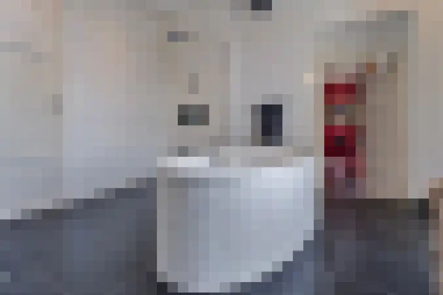 Rijksweg 89 B Gronsveld thumbnail 28