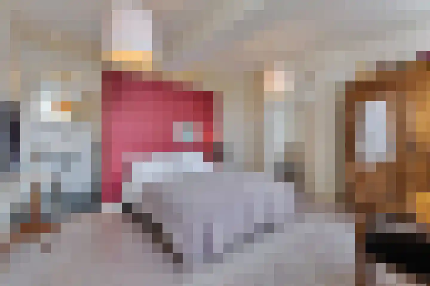 Rijksweg 89 B Gronsveld thumbnail 31