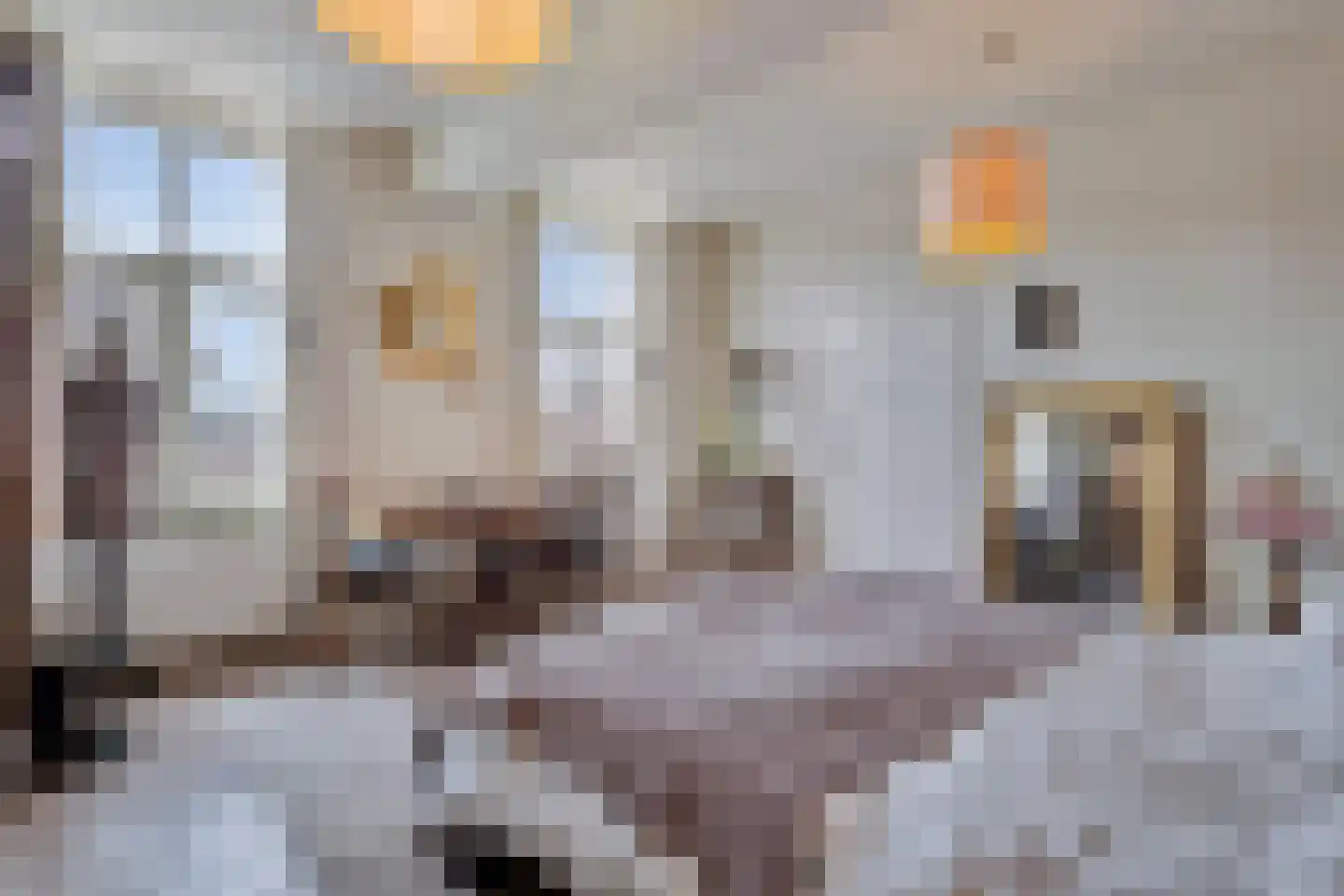 Rijksweg 89 B Gronsveld thumbnail 32