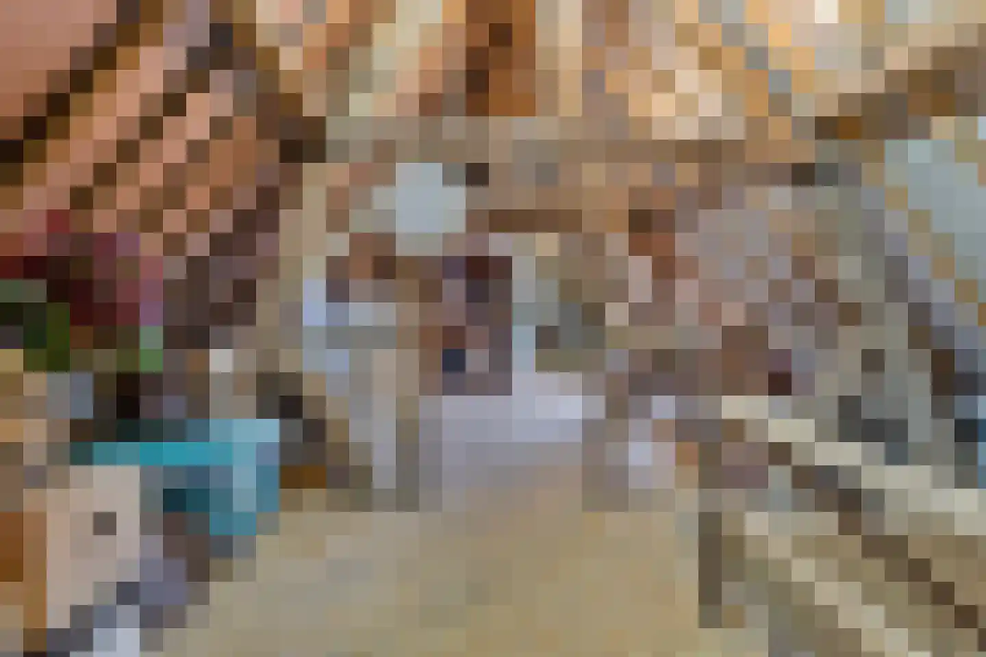 Rijksweg 89 B Gronsveld thumbnail 37