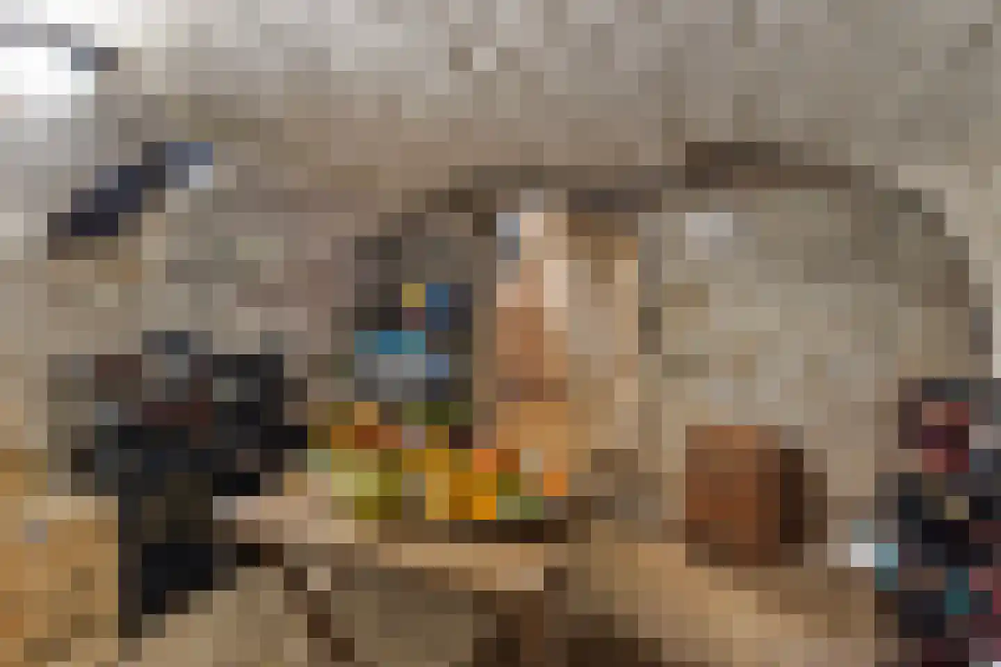 Rijksweg 89 B Gronsveld thumbnail 39