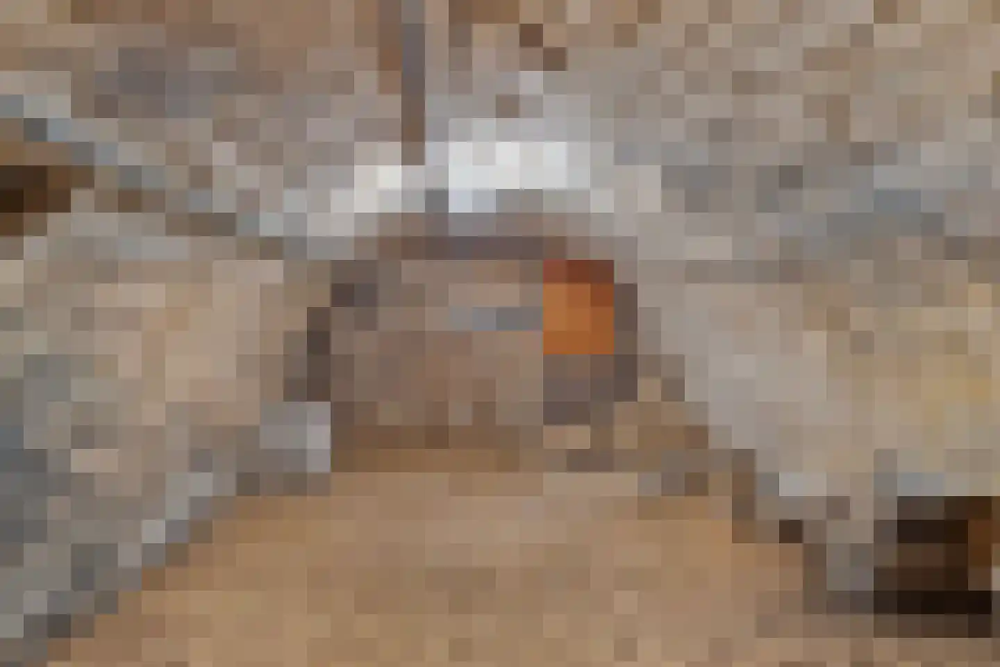 Rijksweg 89 B Gronsveld thumbnail 40