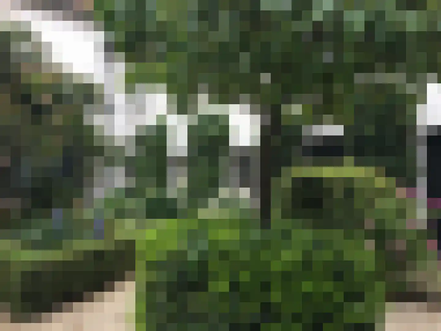 Rijksweg 89 B Gronsveld thumbnail 41