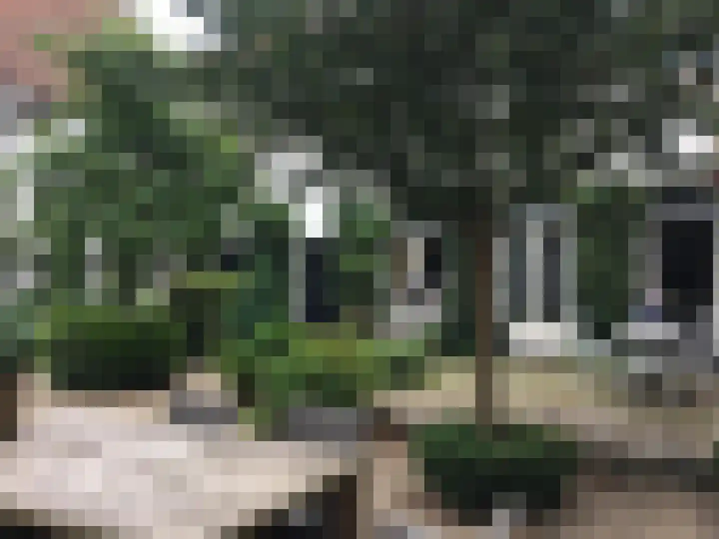 Rijksweg 89 B Gronsveld thumbnail 42