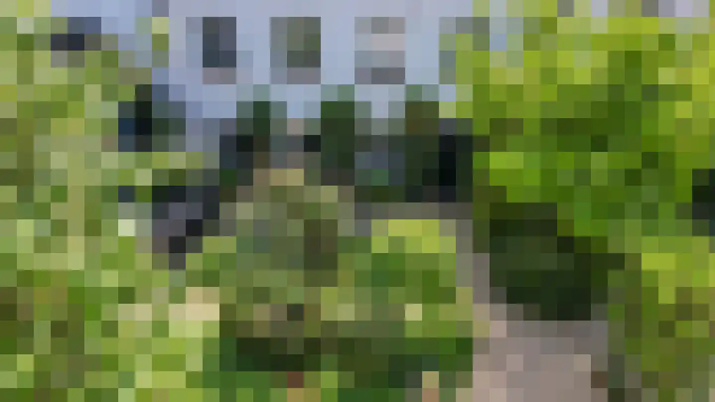 Rijksweg 89 B Gronsveld thumbnail 43