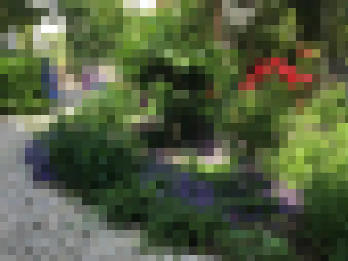 Rijksweg 89 B Gronsveld thumbnail 44