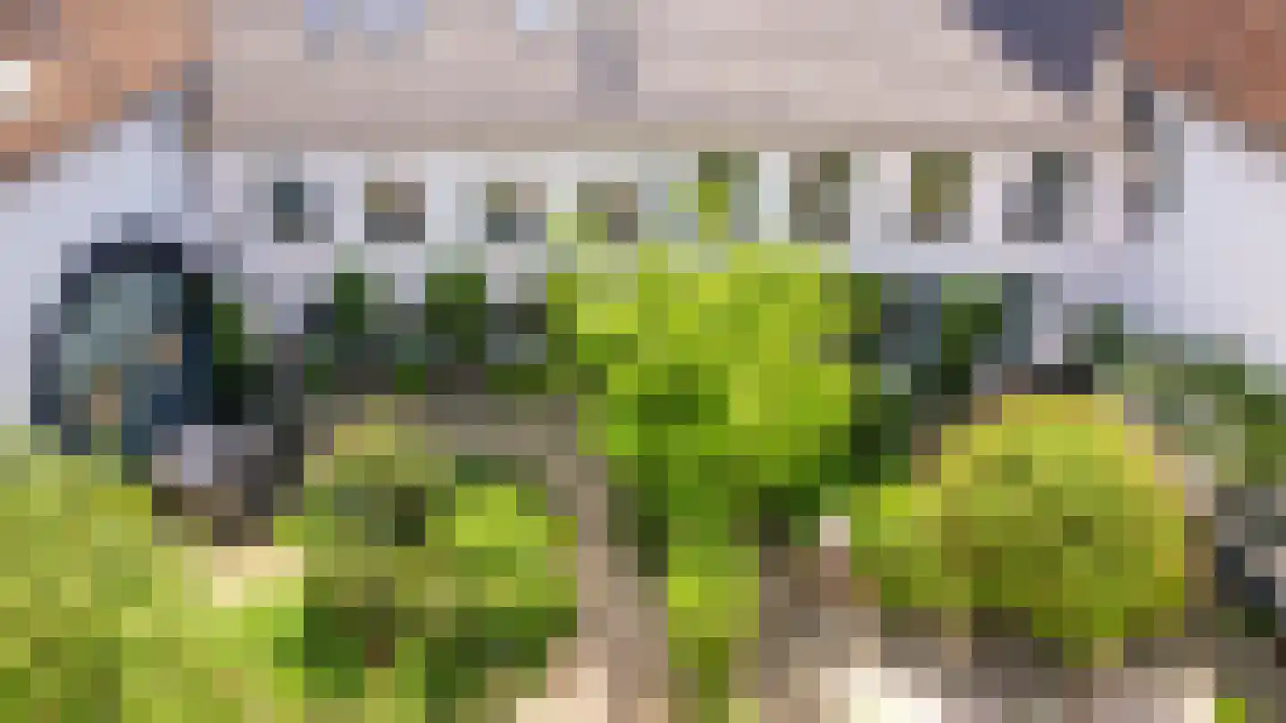 Rijksweg 89 B Gronsveld thumbnail 45
