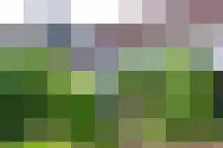 Rijksweg 89 B Gronsveld thumbnail 48