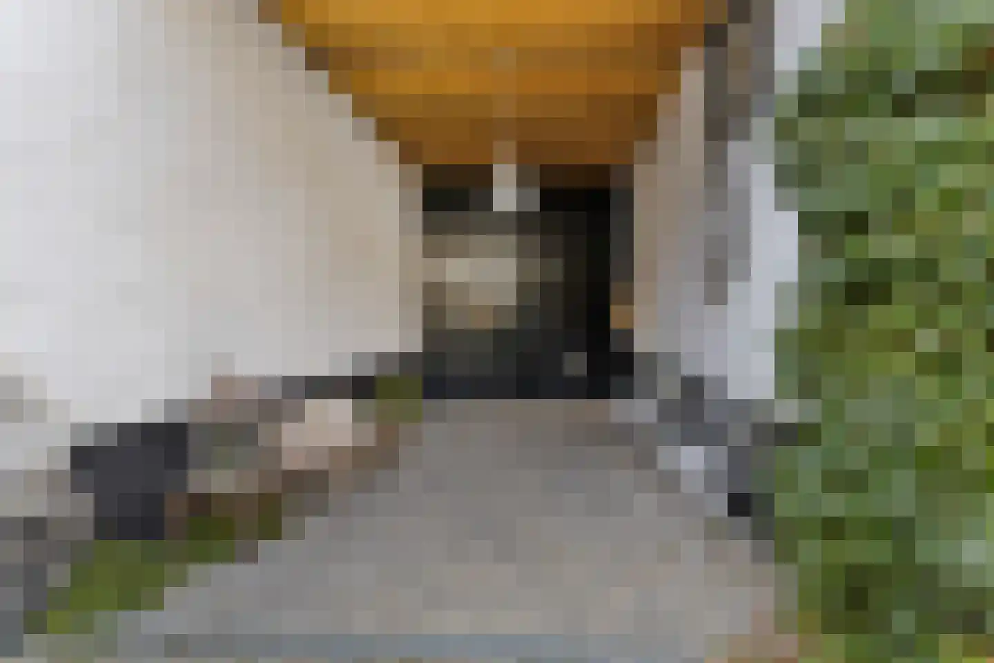 Rijksweg 89 B Gronsveld thumbnail 49