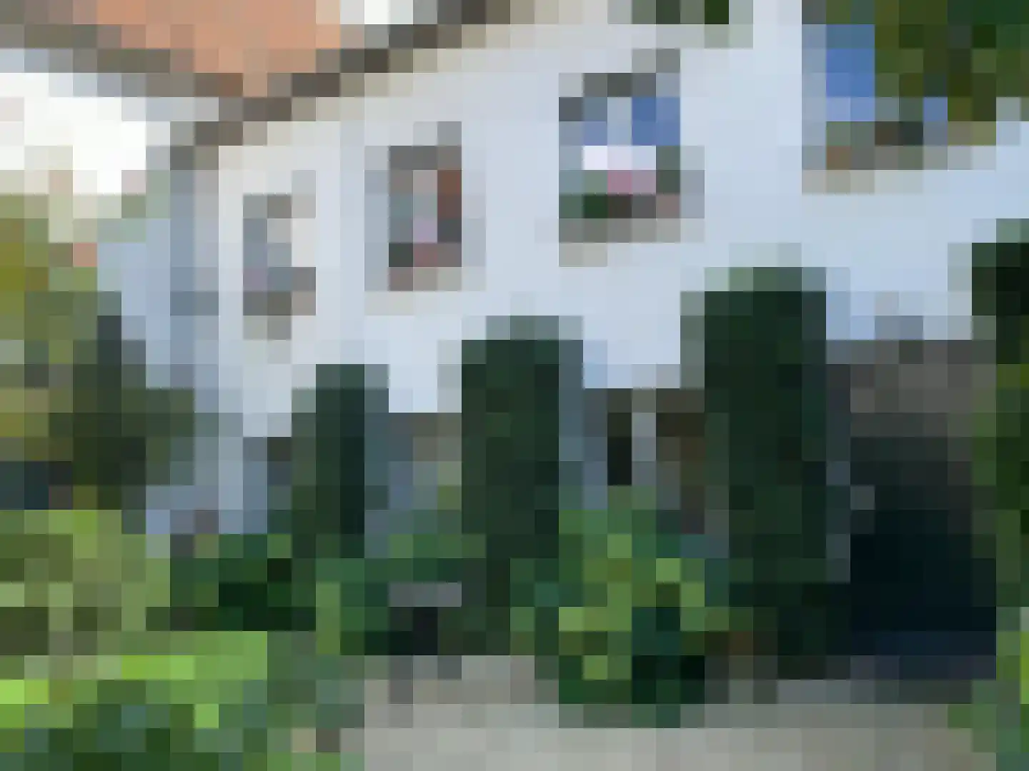 Rijksweg 89 B Gronsveld thumbnail 50