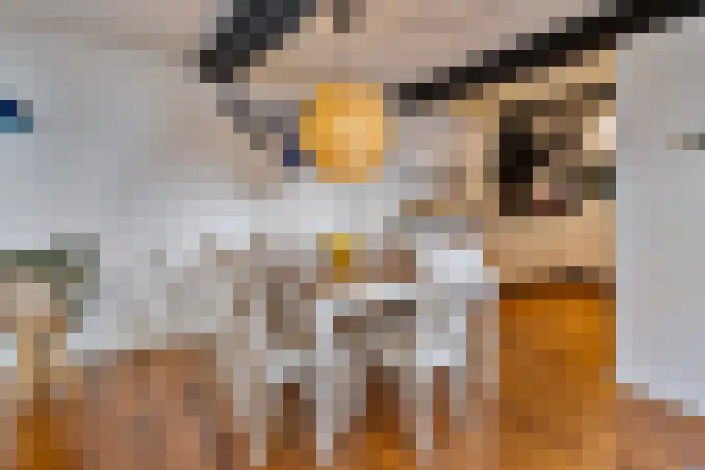 Rijksweg 89 B Gronsveld thumbnail 54
