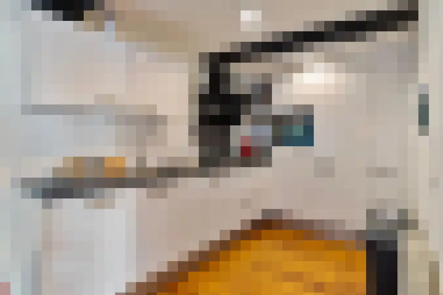 Rijksweg 89 B Gronsveld thumbnail 55