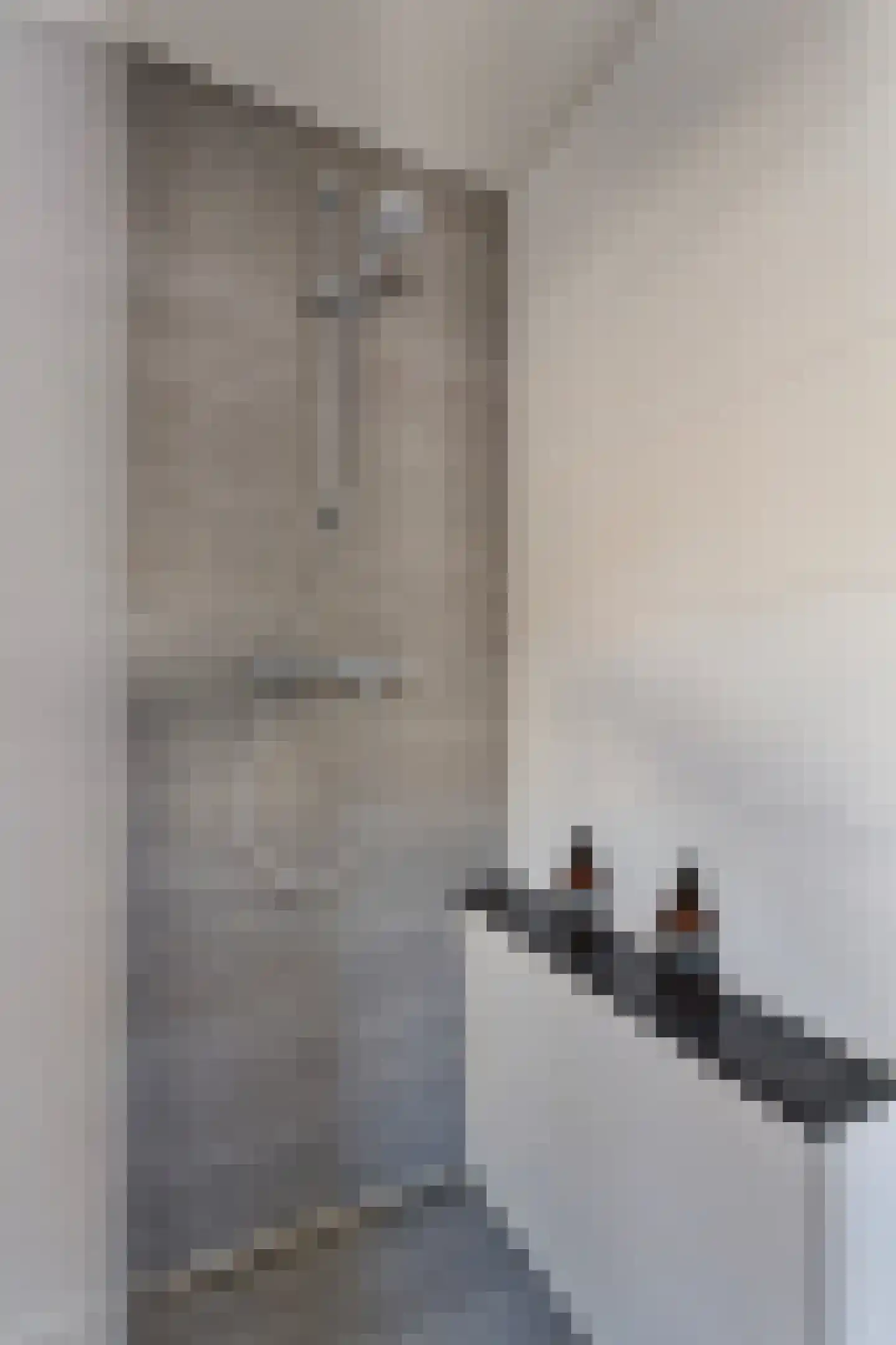 Rijksweg 89 B Gronsveld thumbnail 64