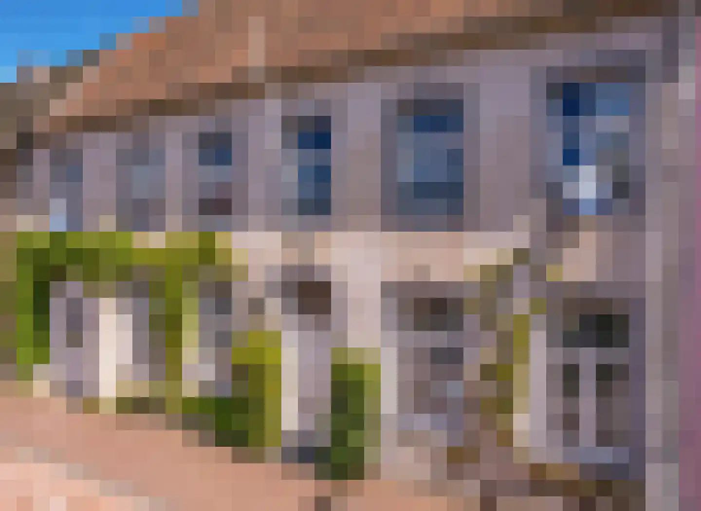Rijksweg 89 B Gronsveld thumbnail 71