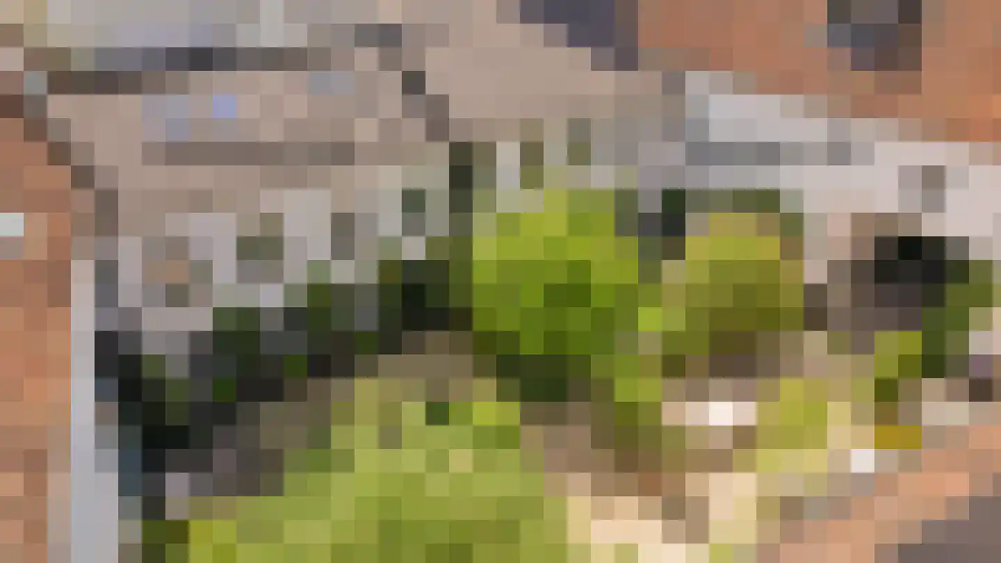 Rijksweg 89 B Gronsveld thumbnail 73