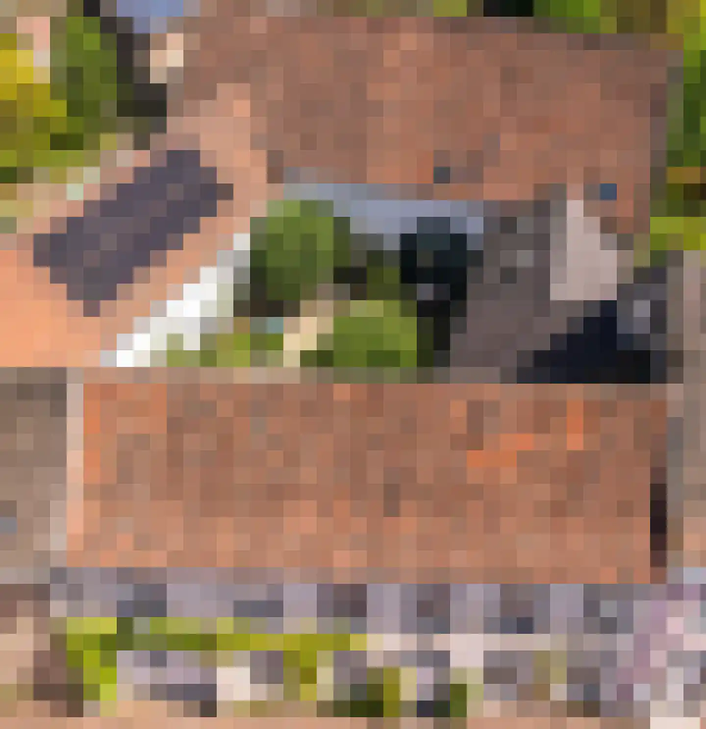 Rijksweg 89 B Gronsveld thumbnail 74